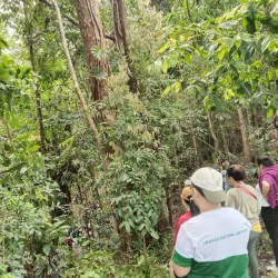 La Union Botanical Garden - San Juan