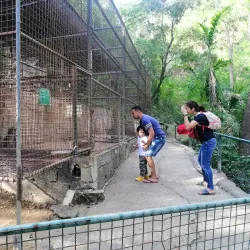 La Union Botanical Garden - San Juan