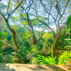 La Union Botanical Garden - San Juan