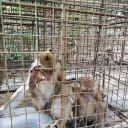 La Union Botanical Garden - San Juan