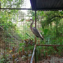 La Union Botanical Garden - San Juan