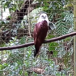 La Union Botanical Garden - San Juan