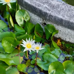 Ma-Cho Temple - San Juan