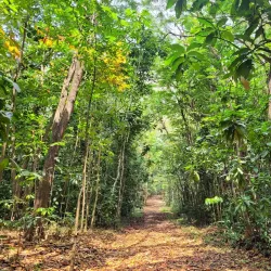 La Mesa Watershed Reservation (nearby) - San Mateo