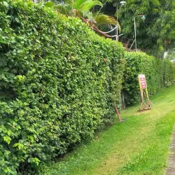 San Mateo Riverwalk - San Mateo