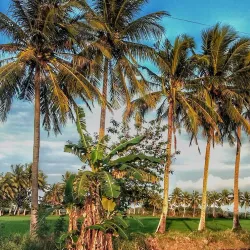 San Mateo Riverwalk - San Mateo