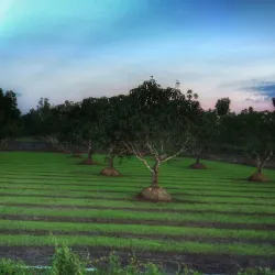 San Mateo Riverwalk - San Mateo