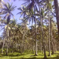 Lake Bunot - San Pablo