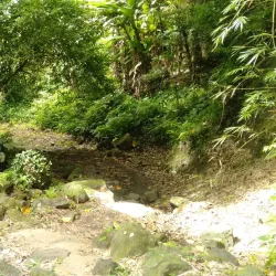 Lake Calibato - San Pablo