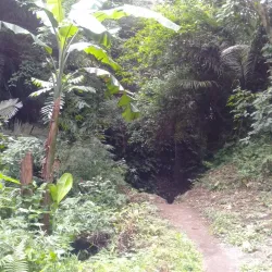 Lake Calibato - San Pablo