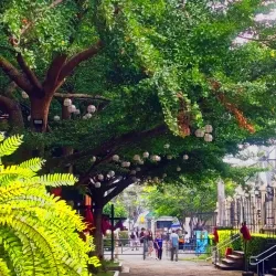 San Pablo Cathedral (Saint Paul the First Hermit Cathedral) - San Pablo