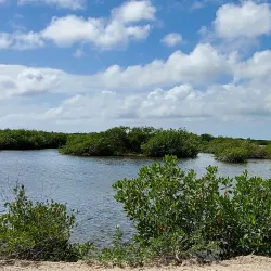 San Pedro Art Gallery - San Pedro