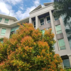 San Pedro City Hall - San Pedro