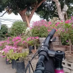 San Pedro Plaza - San Pedro