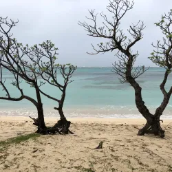 Anguib Beach - Santa Ana