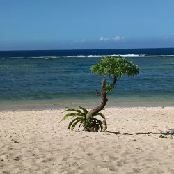 Santa Ana Bay - Santa Ana
