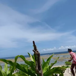 Santa Ana Bay - Santa Ana