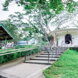 Local Handicraft Workshops - Santa Cruz