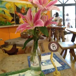 Local Handicraft Workshops - Santa Cruz