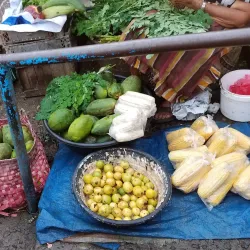 Local Market - Santa Cruz