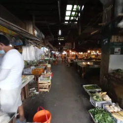 Local Market - Santa Cruz