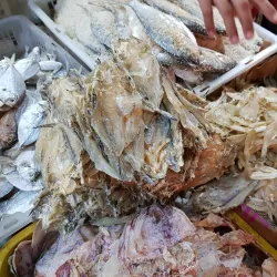 Local Market - Santa Cruz