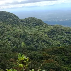 Mangrove Forest Reserve - Santa Cruz