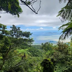 Mangrove Forest Reserve - Santa Cruz