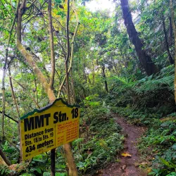 Mangrove Forest Reserve - Santa Cruz