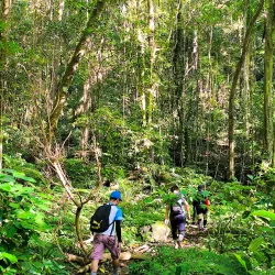 Mangrove Forest Reserve - Santa Cruz