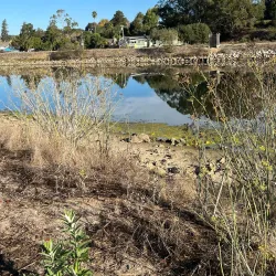 Riverwalk Park - Santa Cruz