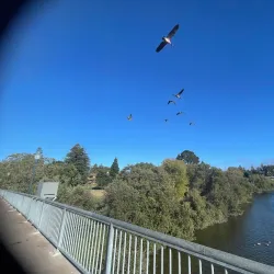 Riverwalk Park - Santa Cruz