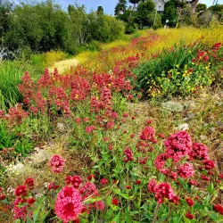 Riverwalk Park - Santa Cruz