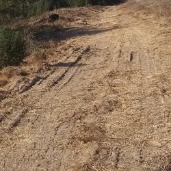 Riverwalk Park - Santa Cruz
