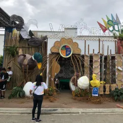 Santa Cruz Festival - Santa Cruz