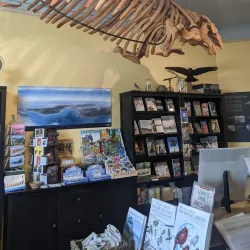 Santa Cruz Museum - Santa Cruz