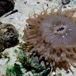 Santa Cruz Museum - Santa Cruz