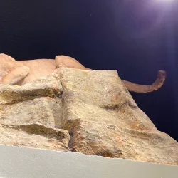 Santa Cruz Museum - Santa Cruz