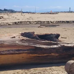 Santa Cruz Museum - Santa Cruz