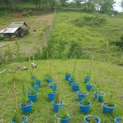 Cagayan Valley Botanical Garden - Santiago City