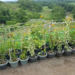 Cagayan Valley Botanical Garden - Santiago City