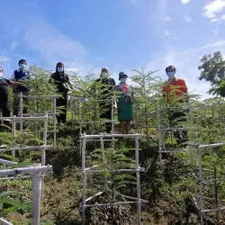 Cagayan Valley Botanical Garden - Santiago City