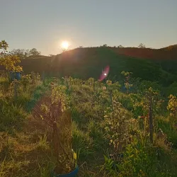 Cagayan Valley Botanical Garden - Santiago City