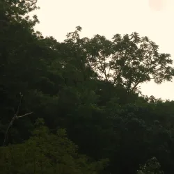 Pinzal Falls - Santiago City