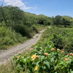 Pinzal Falls - Santiago City