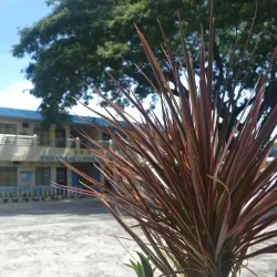 Santiago City Cultural Center - Santiago City