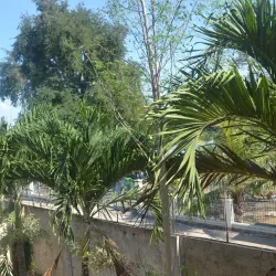 Santiago City Cultural Center - Santiago City