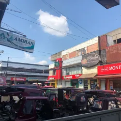 Santiago City Public Market - Santiago City