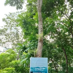 Santiago Eco-Park - Santiago City