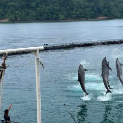 Ocean Adventure - Subic Bay Freeport Zone